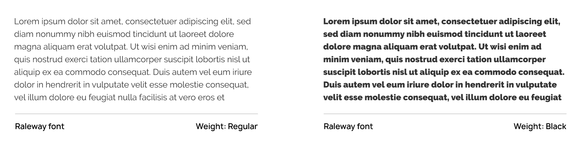 Placeholder text with Raleway Regular font appears next to text with Raleway Black font.